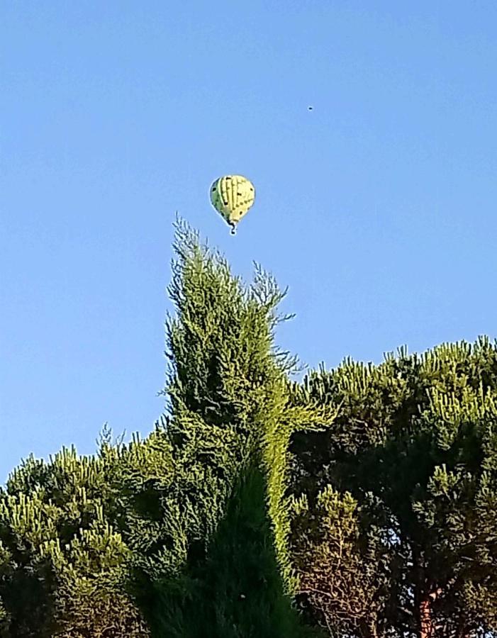 לינה וארוחת בוקר אלבי Fleurs De Cosmos מראה חיצוני תמונה